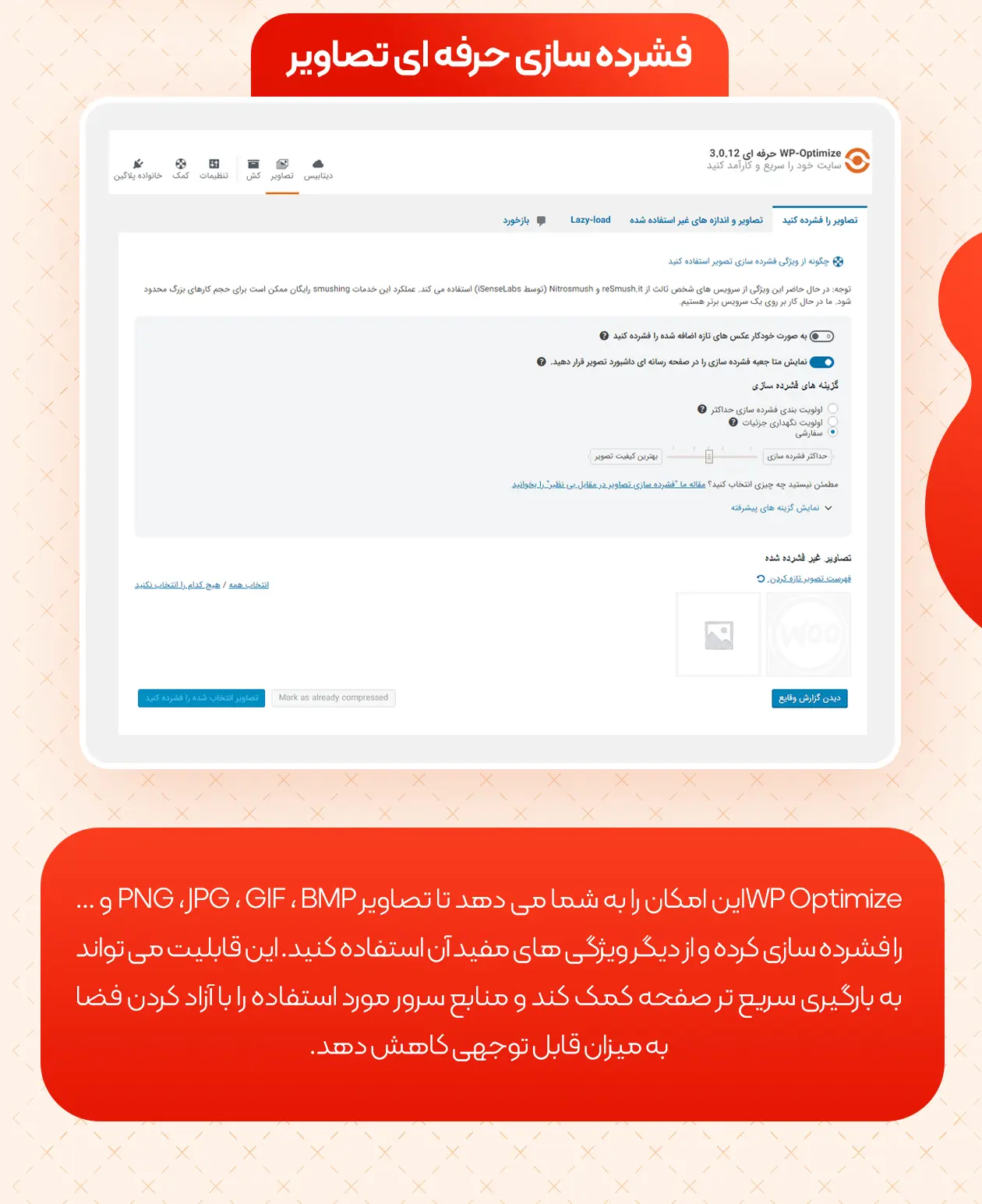 افزونه سرعت سایت wp optimize premium